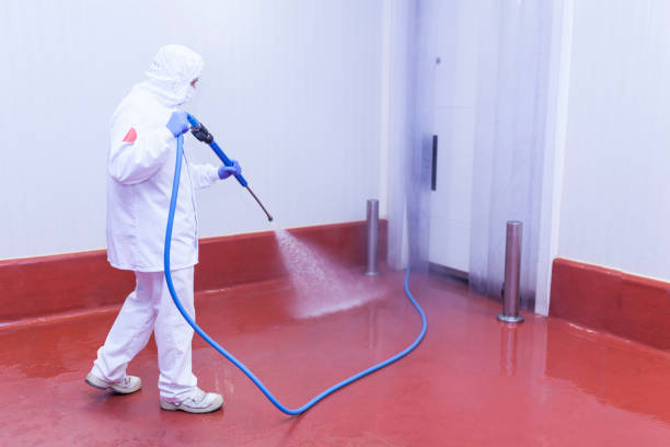 Best Machinery and Equipment Cleaning  in Odem, TX