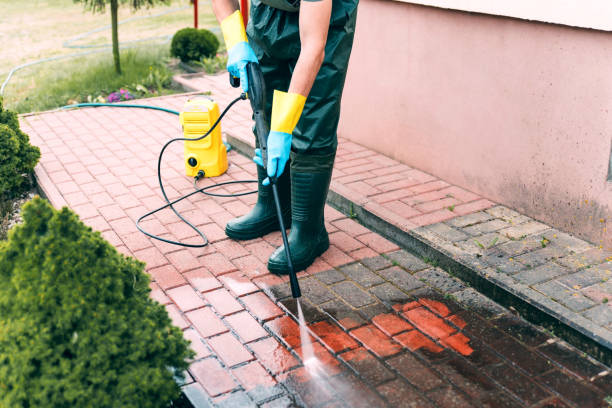Best Pool Deck Cleaning  in Odem, TX