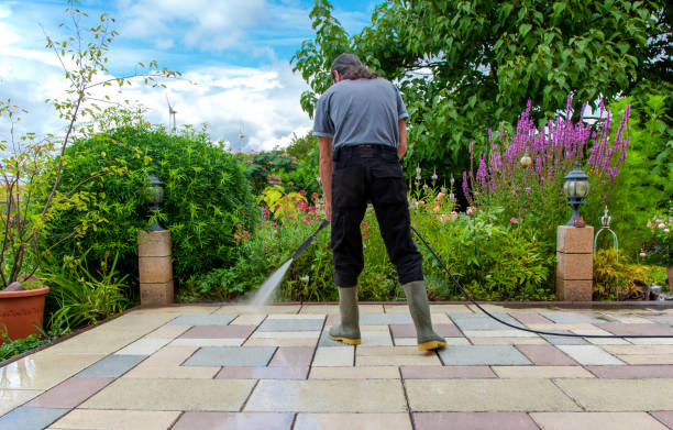 Best Winterizing Services  in Odem, TX